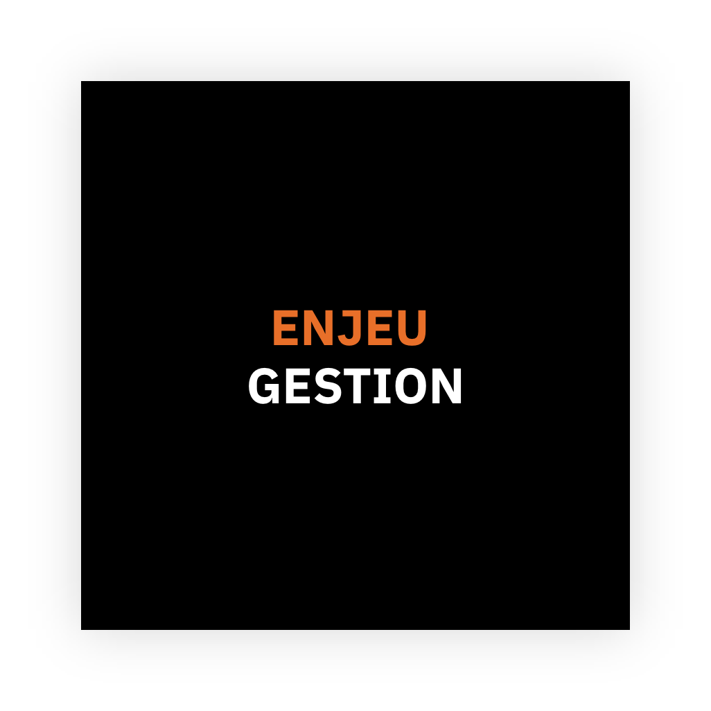ENJEU