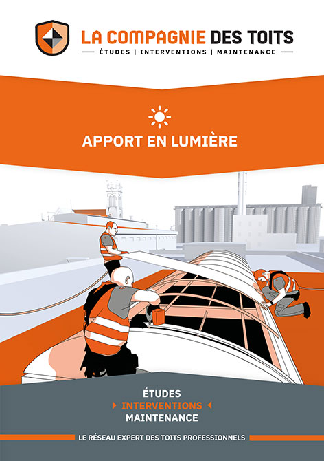 Guide apport de lumière des toits professionnels