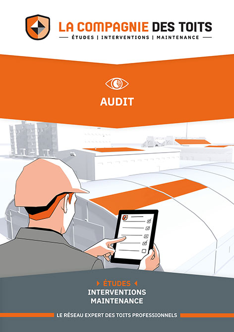 guide audit des toits professionnels