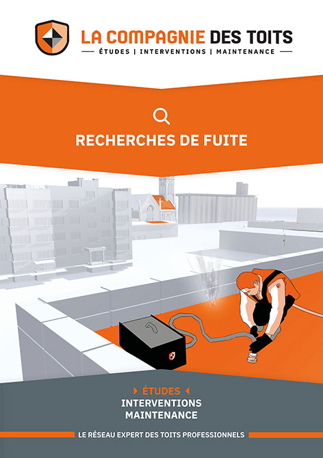 guide recherches de fuite des toits professionnels