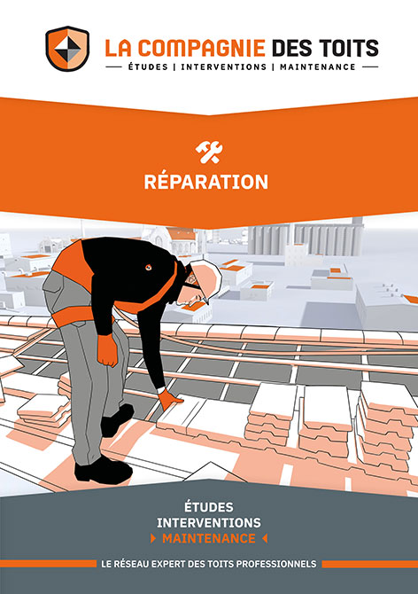 guide réparation des toits professionnels